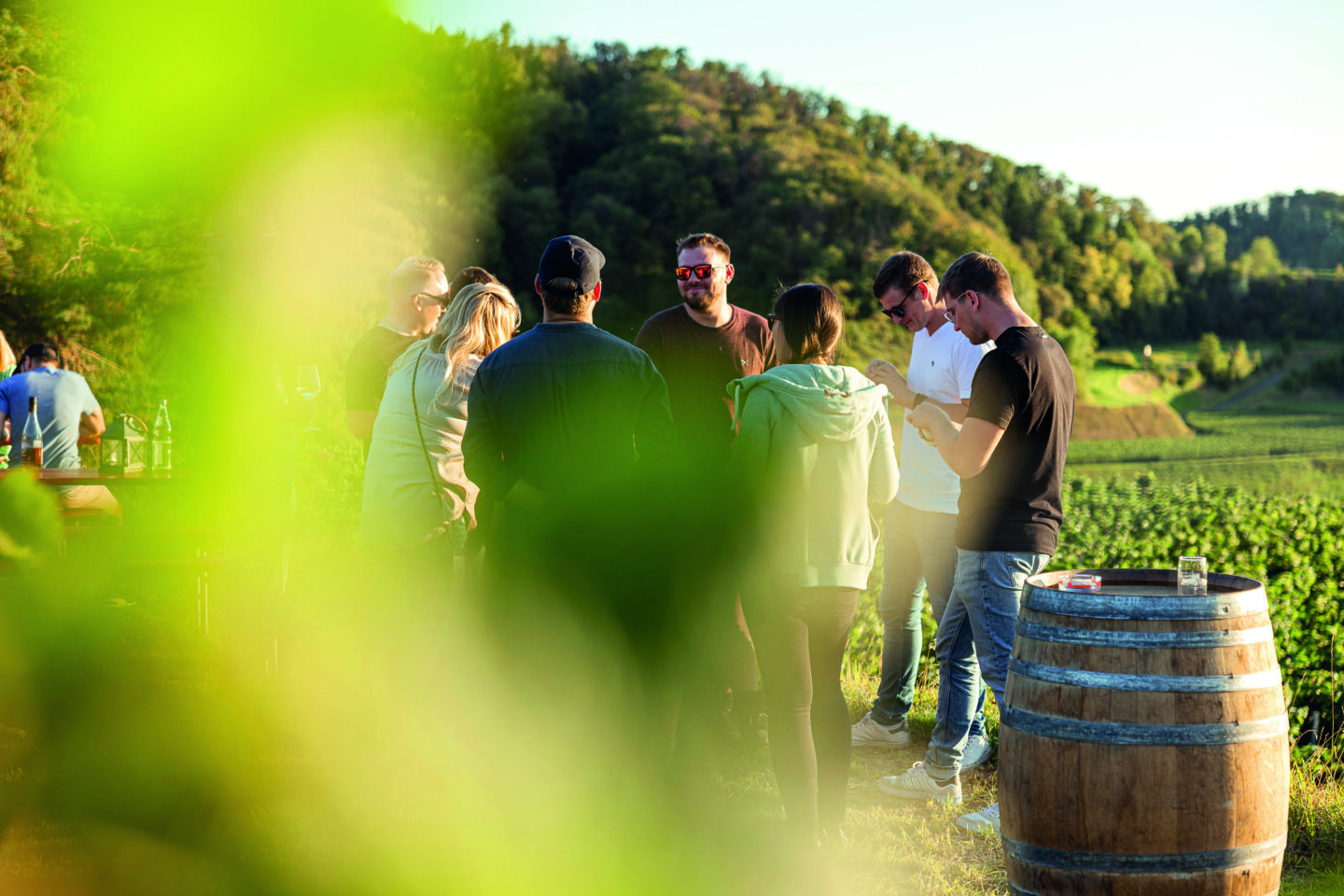 Bickensohler Weinvogtei Weinkultur seit 1924